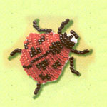 Insect brooches