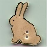 Brown Bunny Sitting