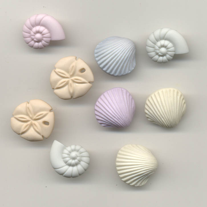 Seashells at the Seashore