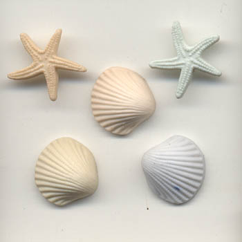 Seashells at the Seashore